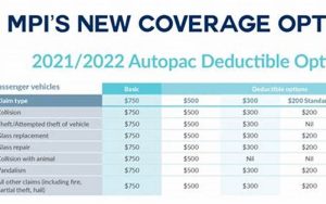 Insurance Coverage Options Image