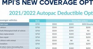 Insurance Coverage Options Image