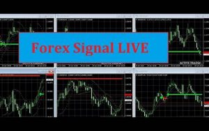 Sinyal Trading Forex
