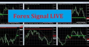 Sinyal Trading Forex