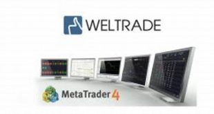 Terminal Weltrade